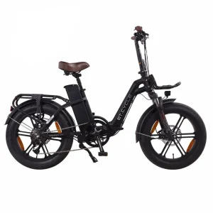 ET.Cycle F1000 Vélo Electrique Fat Bike Pliant 20&Prime; 48V 21Ah 1008Wh Noir