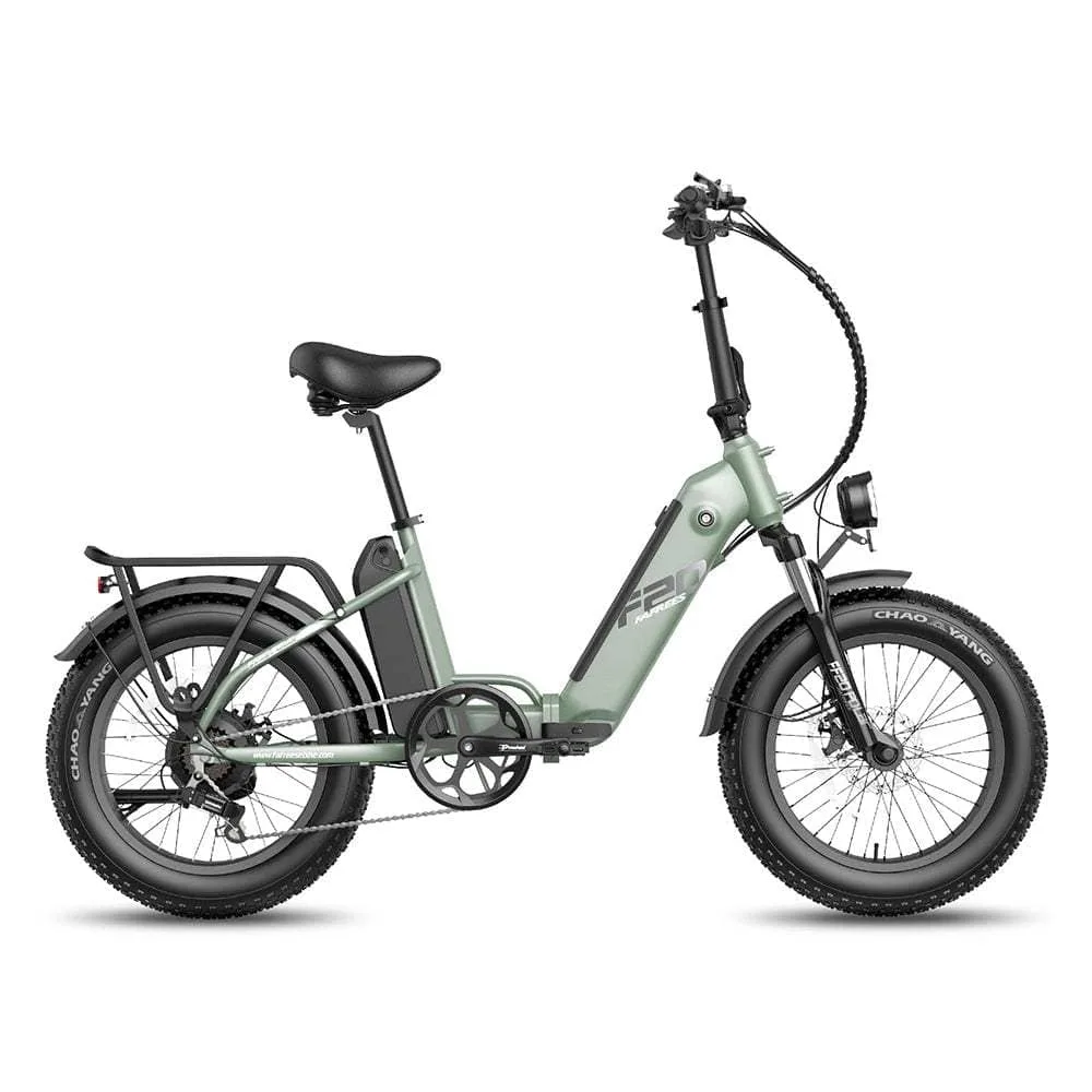 Fafrees FF20 Polar 500W 20″ Fat Bike avec 10.4Ah-2 Double Batteries VTT électrique Pliable – Image 2