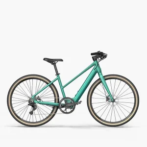 Fiido E-Gravel C22 vélo électrique vert