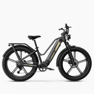 Fiido Titan – Vélo Électrique de Transport Robuste