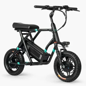 Scooter électrique pliable Fiido Q2 Dual Drive