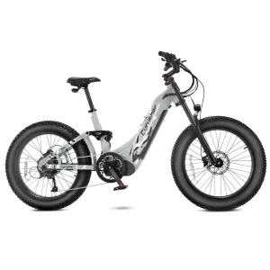 VTC Électrique Cyrusher Trax L&rsquo;hybride