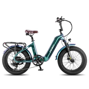 VTC électrique Fafrees F20 Master 500W 20&Prime; Fat Bike 22.5Ah Batterie Samsung