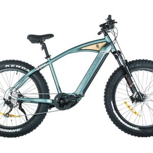 VTT Électrique Semi-Rigide Woodee Bikes Surfliner Vert