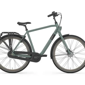 Vélo de ville Gazelle Esprit vert
