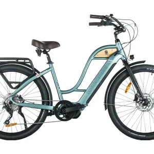 Woodee Bikes Coastliner Classic Swan Vert