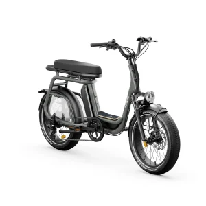 Ritmic Duo - vélo électrique cargo biplace